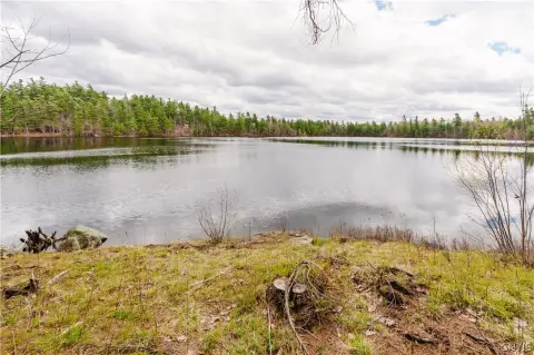 1298 Acre Waterfront Retreat