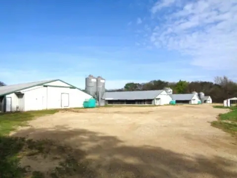 Producing Chicken Farm with Residence