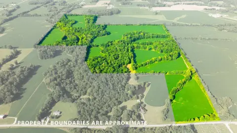 Agricultural and Hunting Land