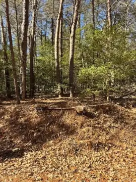 Heathsville Land with River Access