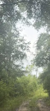 Recreation and Homesite Land Parcel