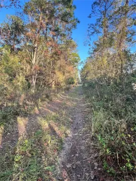 Industrial Land Near I-4 Corridor
