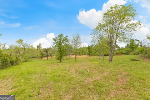Newnan Land with Buildable Tracts