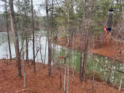 Lake Lot with Dock Permit