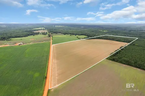 Unzoned Farmland and Timber Tract