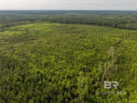 Development Tract with Creek Frontage