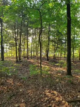 Lakefront Residential Lot Available