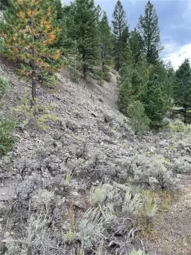 Recreation Land Near National Forest