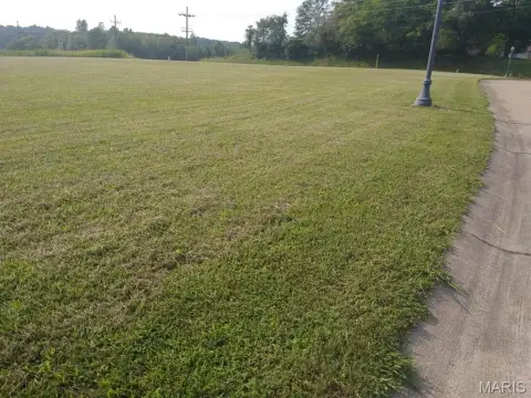Residential Land in Steeleville, IL