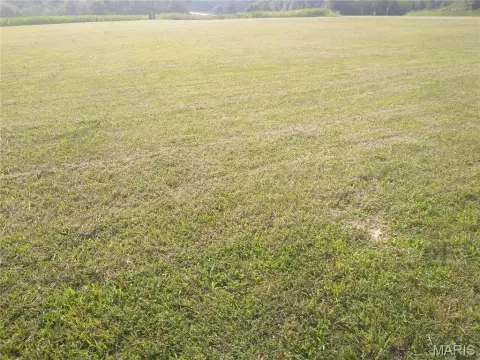 Residential Land in Steeleville, Illinois