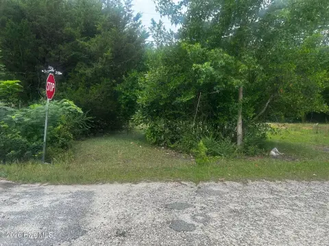 Wooded Specialty Property Land