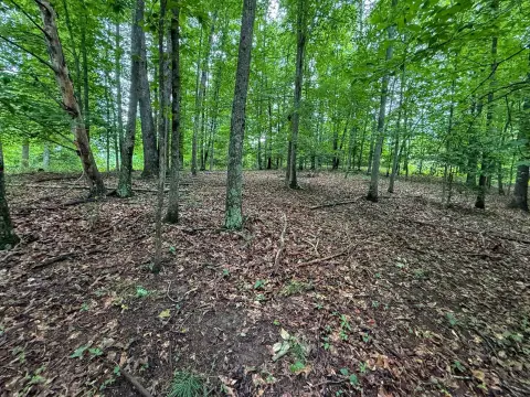 Vacant Residential Land Tract