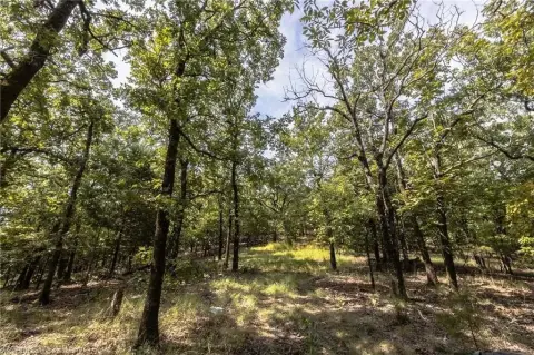 Land with Sardis Lake Views