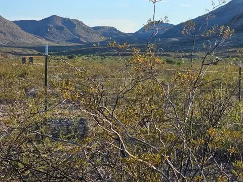 20 Acres in Big Bend