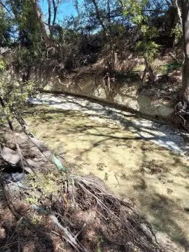 Farmland with Live Creek Frontage