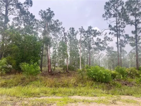 Lehigh Acres Land Parcel