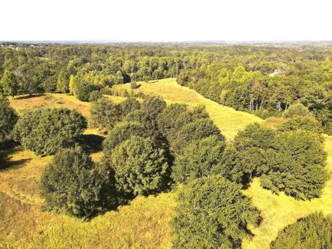 Campobello Acreage with Equestrian Potential