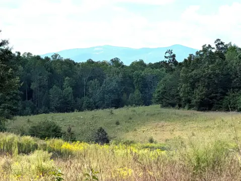 Campobello Acreage with Mountain Views