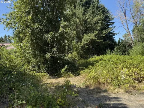 CMU-Zoned Commercial Land with Three Parcels