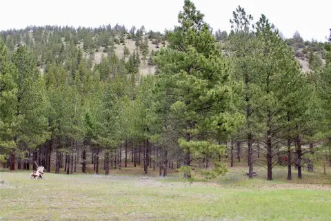 Land in Peaceful Mountain Setting