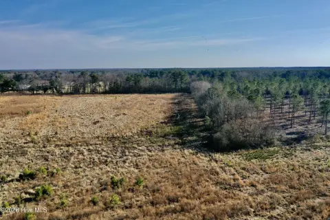 Farm and Timberland with Road Frontage
