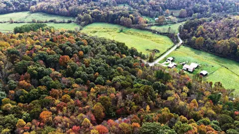 Wooded Hunting Land with Pond