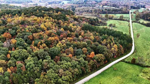 Wooded Recreational Land