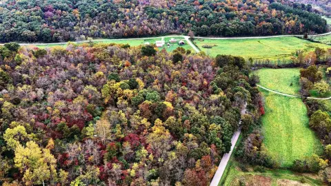 Wooded Hunting Land with Creek