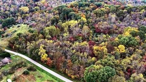 Wooded Hunting Land