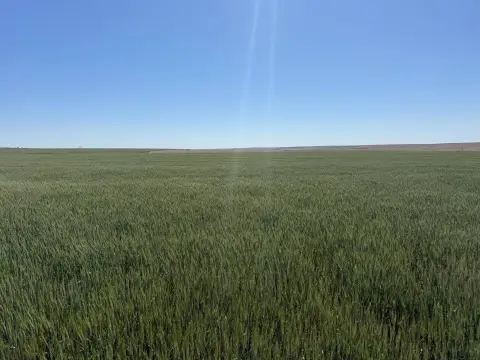 Atwood, KS Vacant Land
