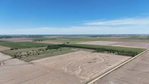 Diverse Rice County Farmland