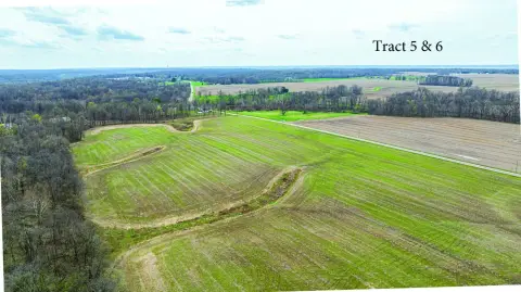 Vacant Land in Covington, Indiana