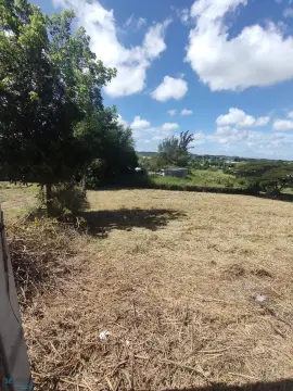 Vacant Lot in Isabela