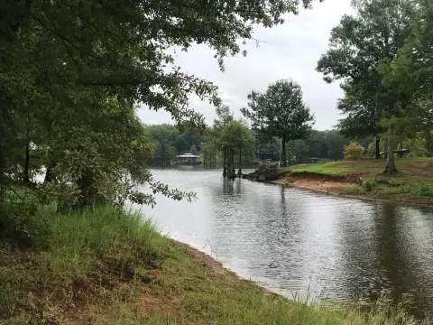 Toledo Bend Waterfront Land