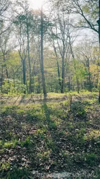 Secluded Wooded Land in Barnett