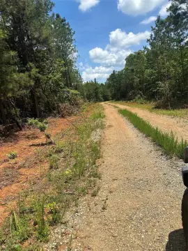 Recreational Timberland Tract
