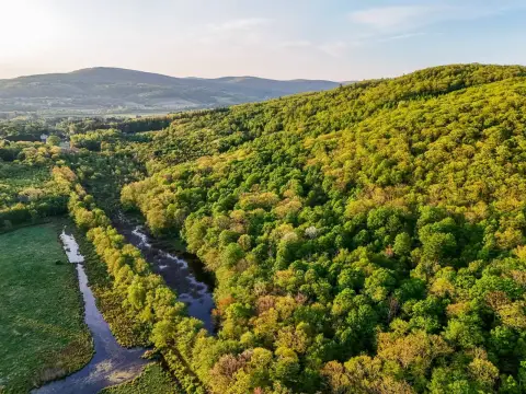 Recreational Land Tract with Meadow