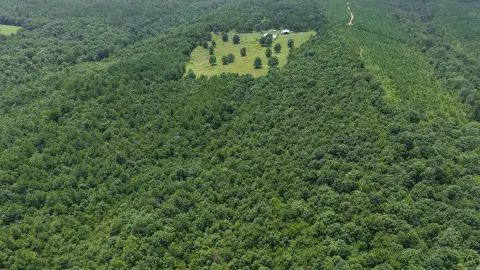 Grannis, AR Hunting Land