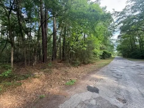 Residential Lot in Hemphill, TX