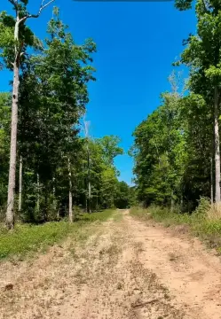 Jasper, TX Acreage For Sale