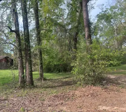 Wooded Lot in Jasper, TX