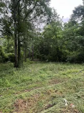 Wooded Lots in Jasper, TX