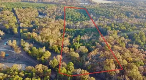 East Texas Land Opportunity