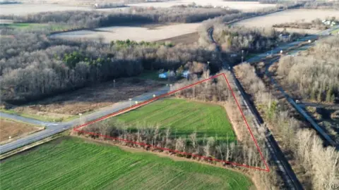 Road-Frontage Farm Parcel