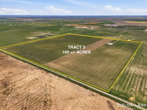 Vacant Farmland and Hunting Tract