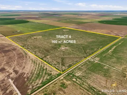 Vacant Farmland Tract