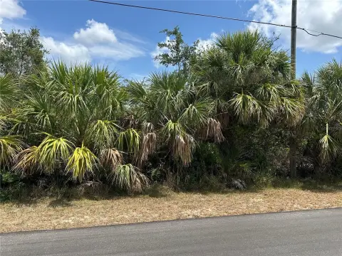 Buildable Lot in Port Charlotte