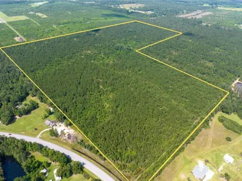 Timberland with Highway Frontage