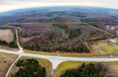 Wooded Acreage with Highway Access