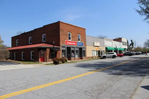 Downtown Landrum Multi-Use Property
